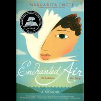 enchanted air two cultures two wings