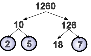 Make a Factor Tree - Ask Professor Puzzler