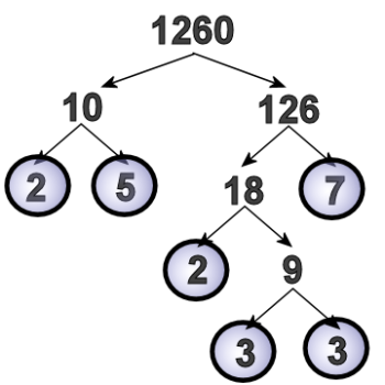 Make a Factor Tree - Ask Professor Puzzler